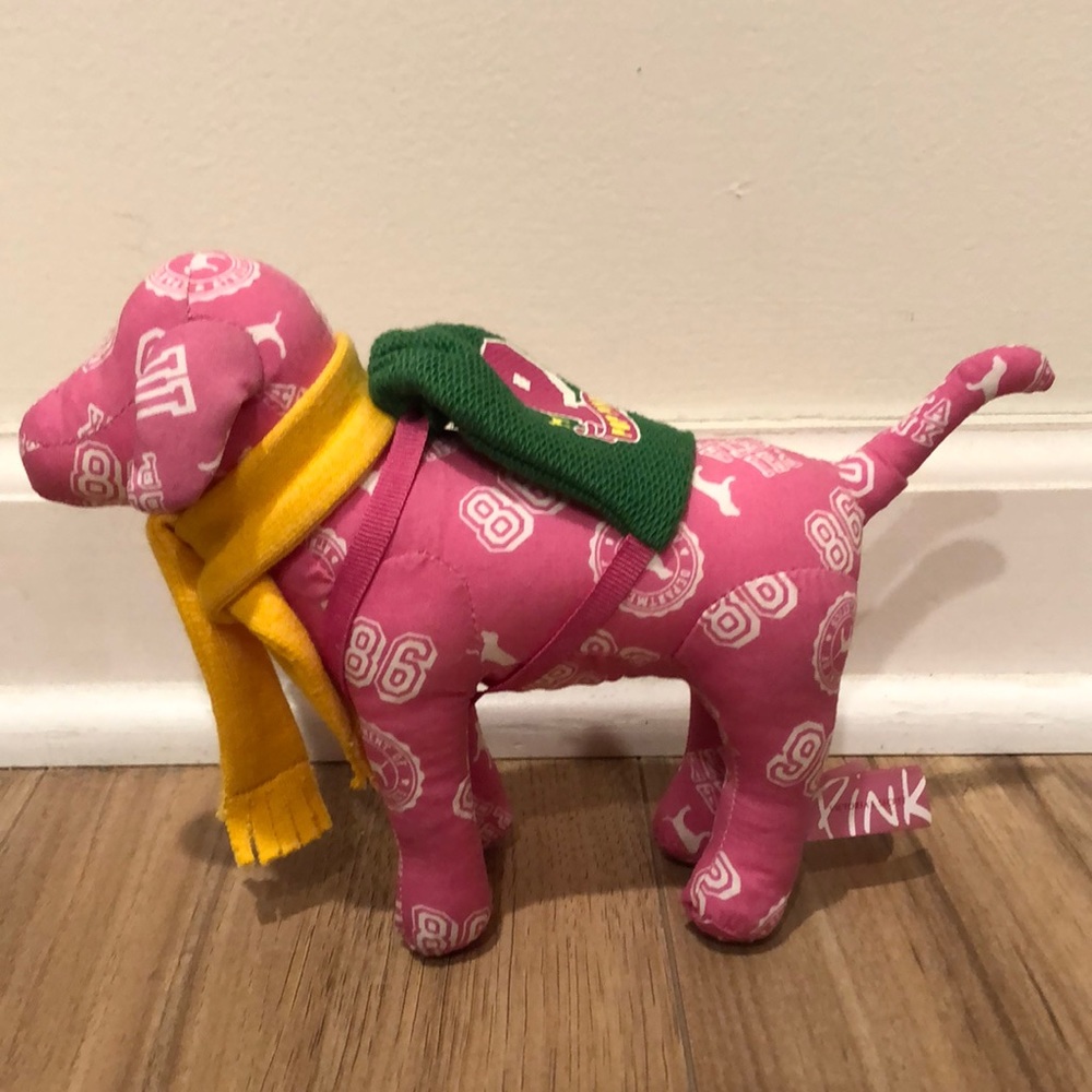 PINK Back to School Dog
